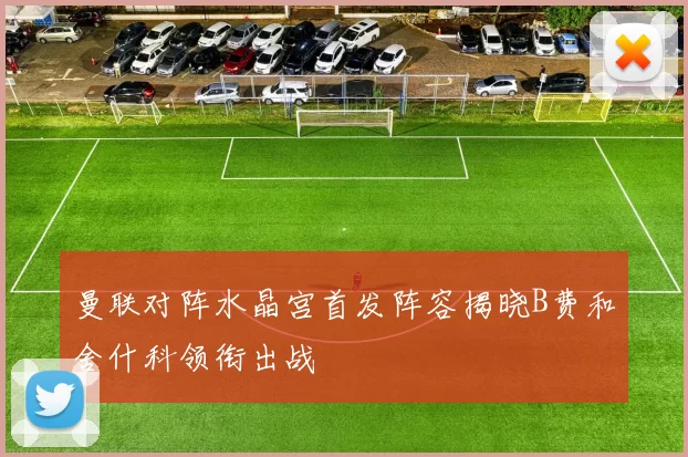 曼联对阵水晶宫首发阵容揭晓B费和舍什科领衔出战